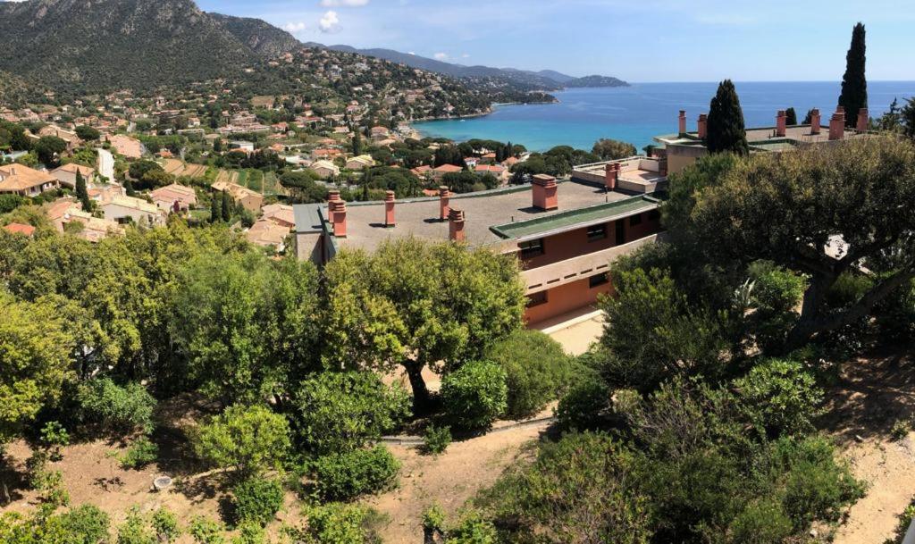 Appartement Altair Le Lavandou Eksteriør bilde